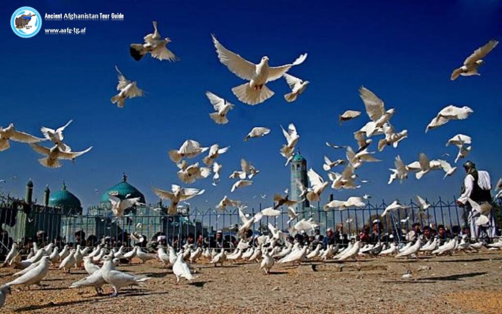 destination-mazar-e-sharif-city-fixed-image-min